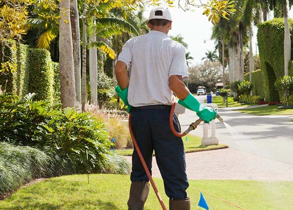 About Maplewood WI Pest Control